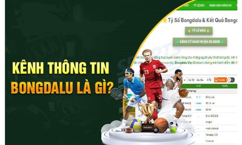 Bongdalu – Trang tin bóng đá điện tử chất lượng nhất 2024
